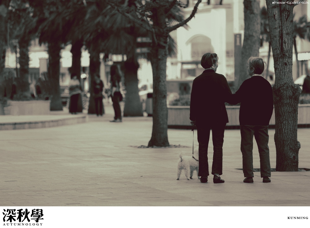 heartpatrick china autumn yunnan sichuan