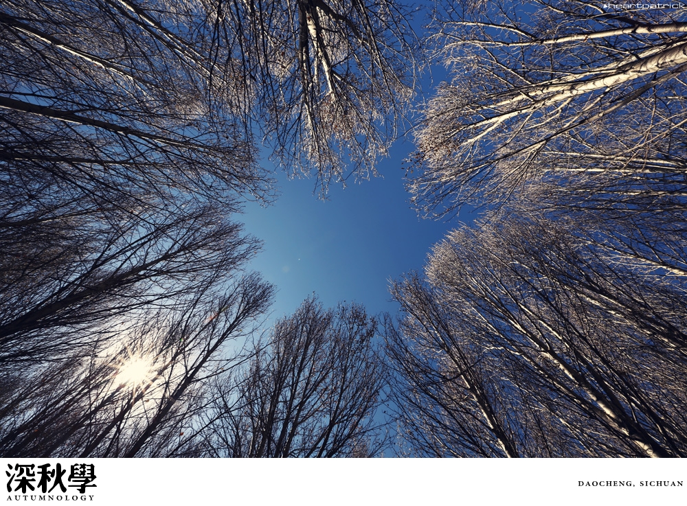 heartpatrick china autumn yunnan sichuan