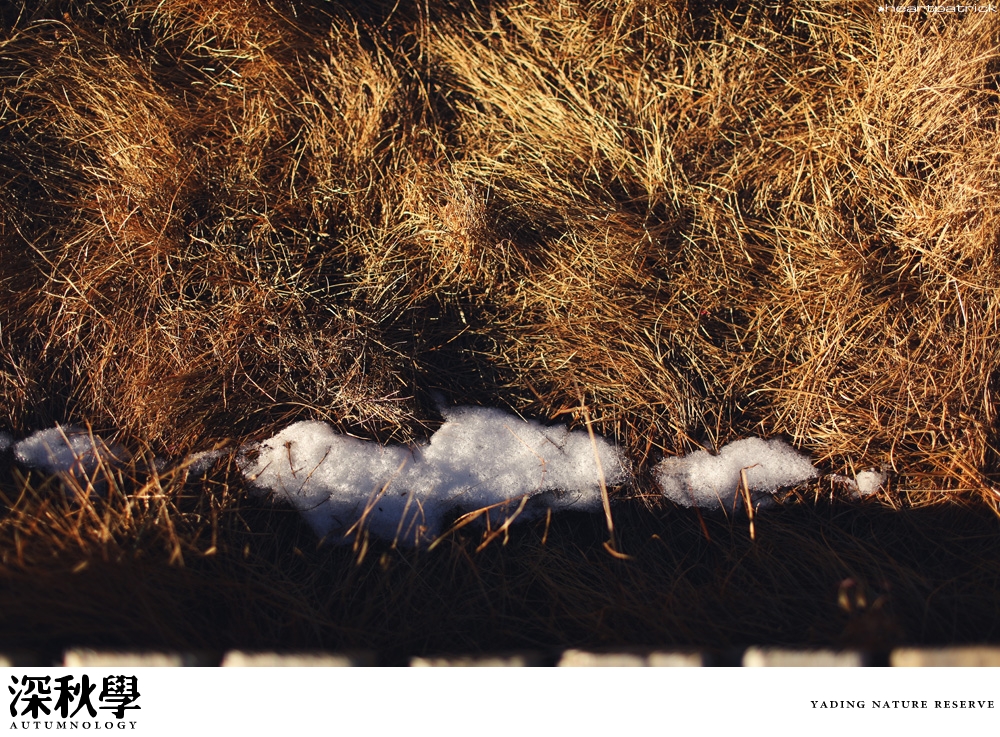 heartpatrick china autumn yunnan sichuan