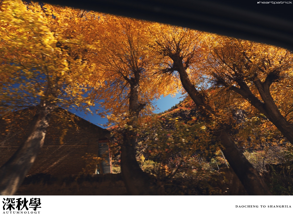 heartpatrick china autumn yunnan sichuan