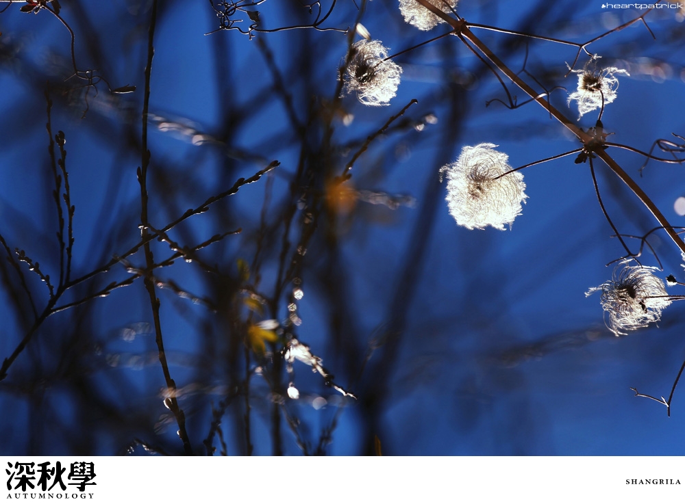 heartpatrick china autumn yunnan sichuan
