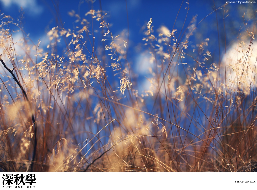 heartpatrick china autumn yunnan sichuan