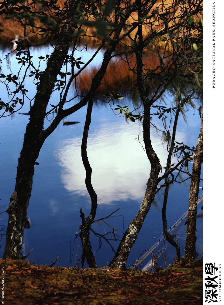 heartpatrick china autumn yunnan sichuan