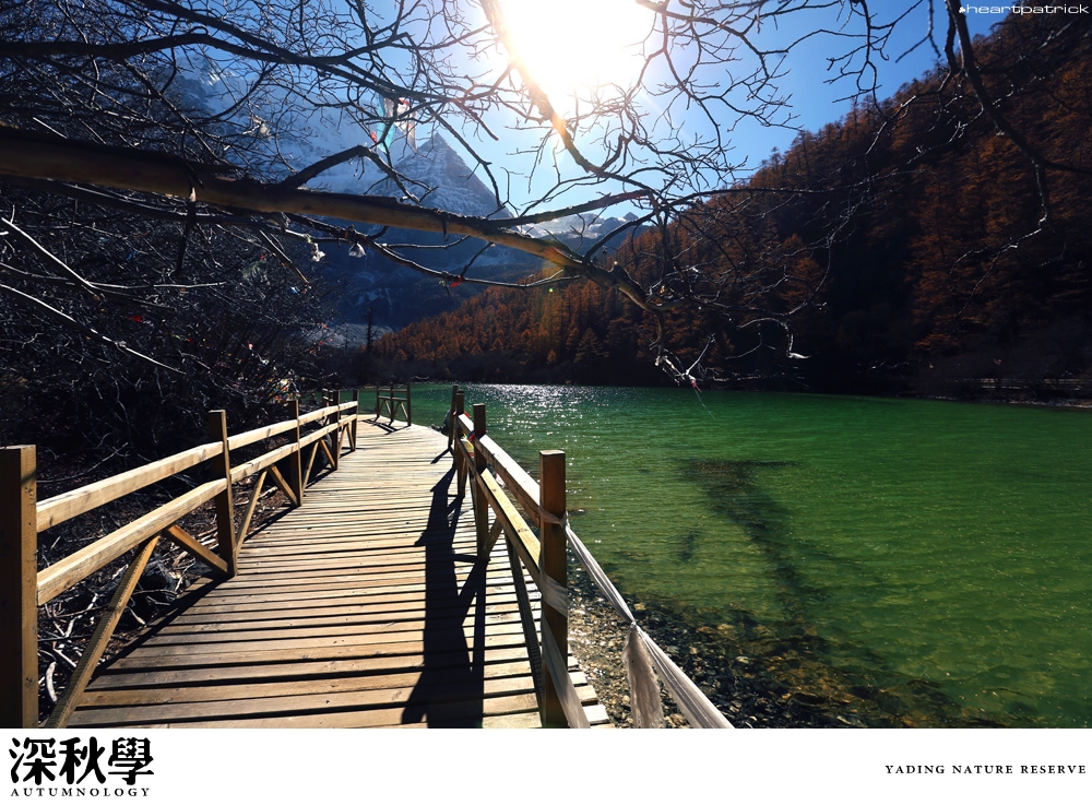 heartpatrick china autumn yunnan sichuan