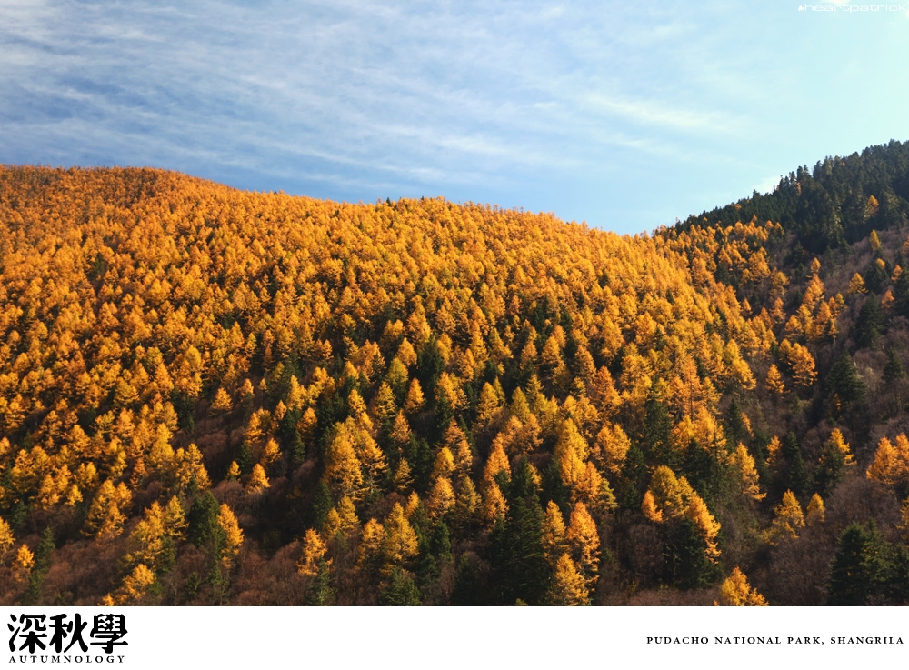 heartpatrick china autumn yunnan sichuan