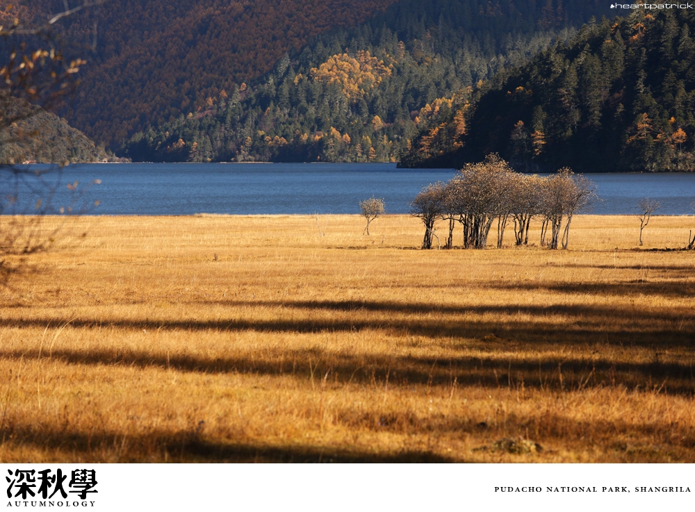 heartpatrick china autumn yunnan sichuan