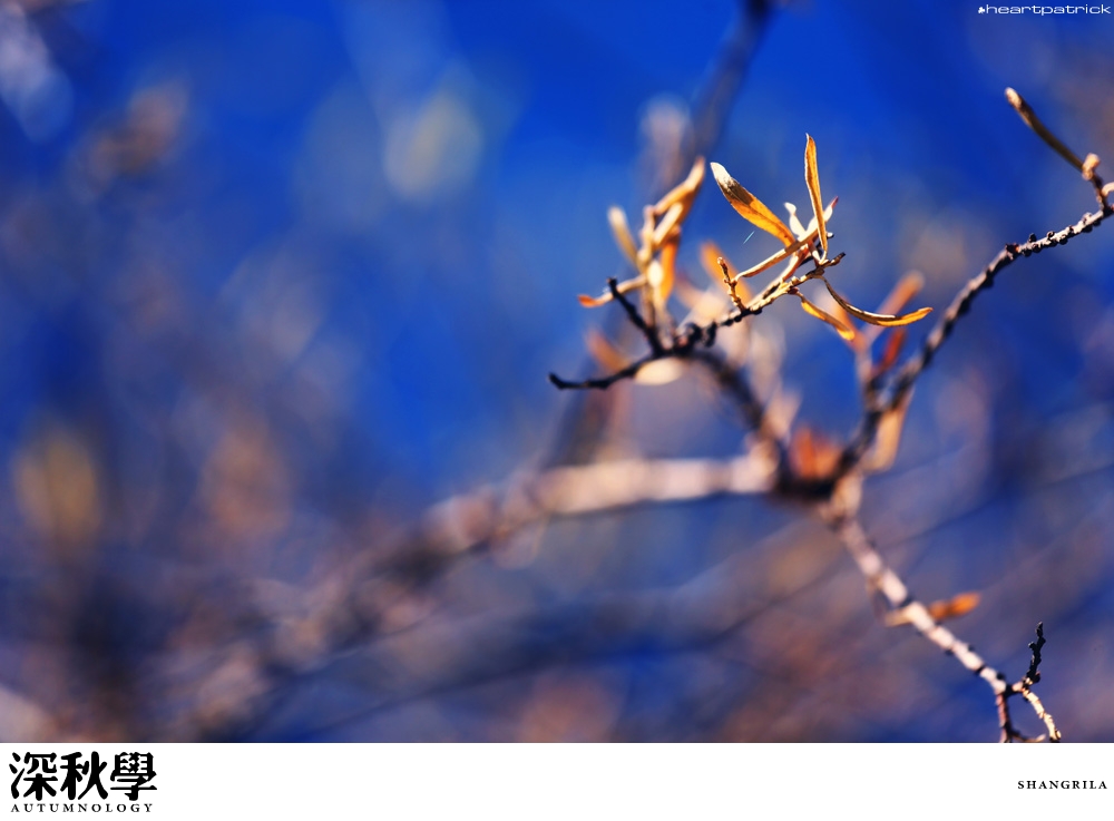 heartpatrick china autumn yunnan sichuan