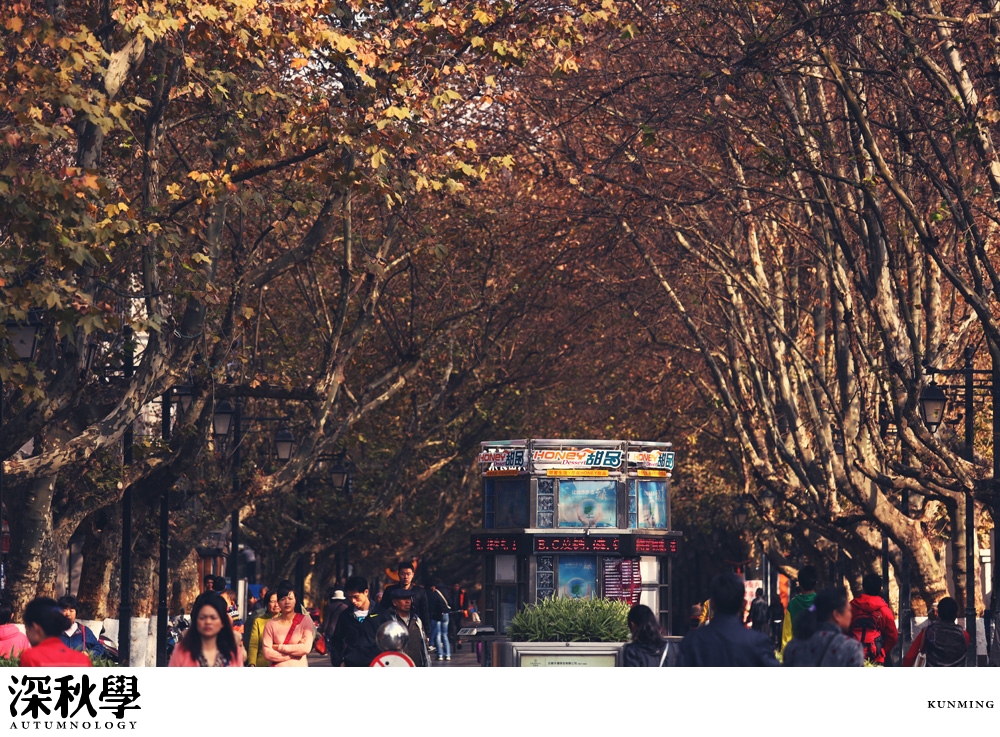 heartpatrick china autumn yunnan sichuan