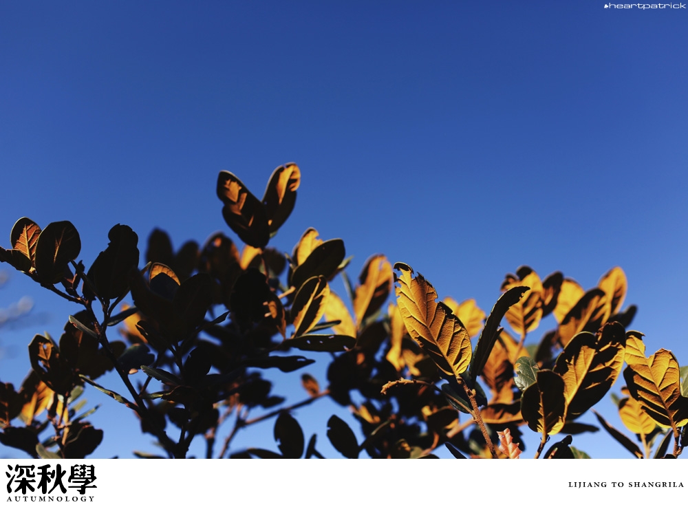 heartpatrick china autumn yunnan sichuan