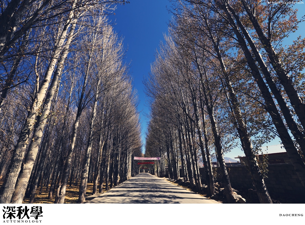 heartpatrick china autumn yunnan sichuan