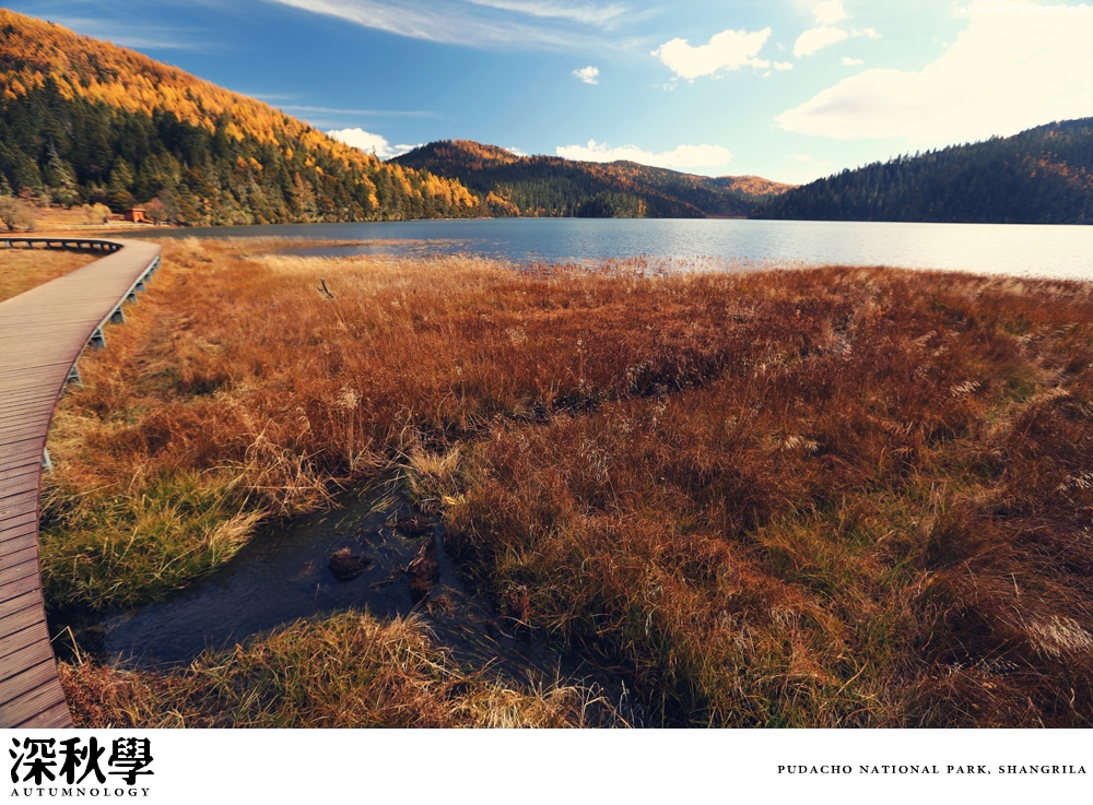 heartpatrick china autumn yunnan sichuan