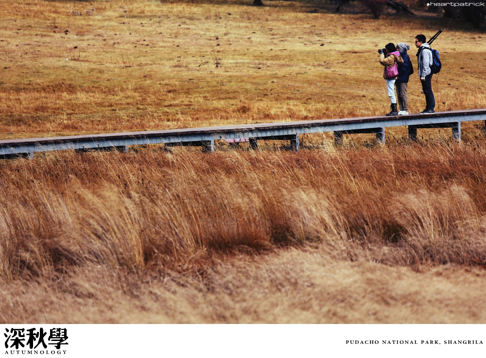 heartpatrick china autumn yunnan sichuan