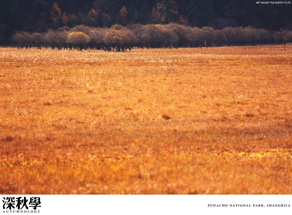 heartpatrick china autumn yunnan sichuan