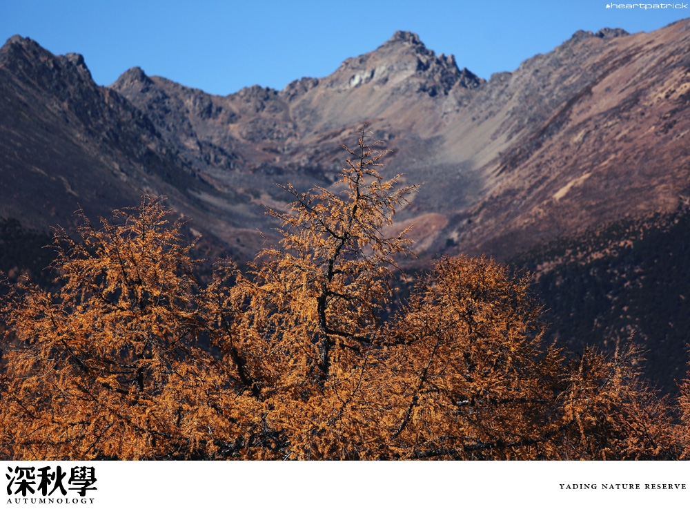 heartpatrick china autumn yunnan sichuan