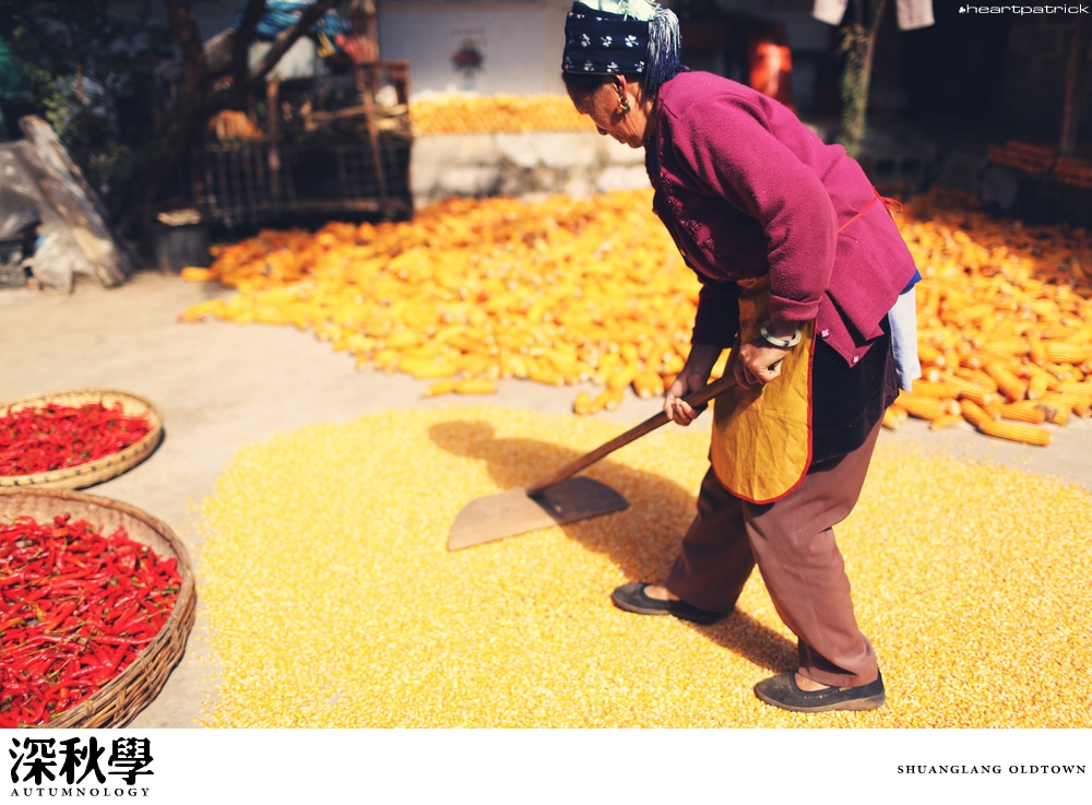 heartpatrick china autumn yunnan sichuan