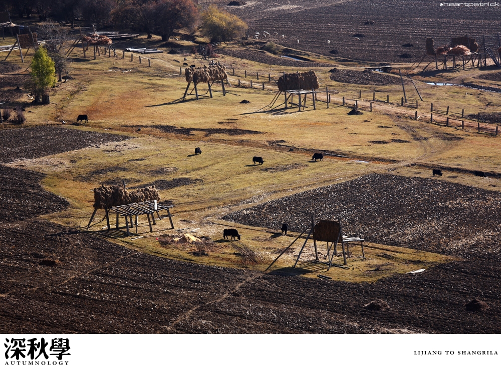 heartpatrick china autumn yunnan sichuan