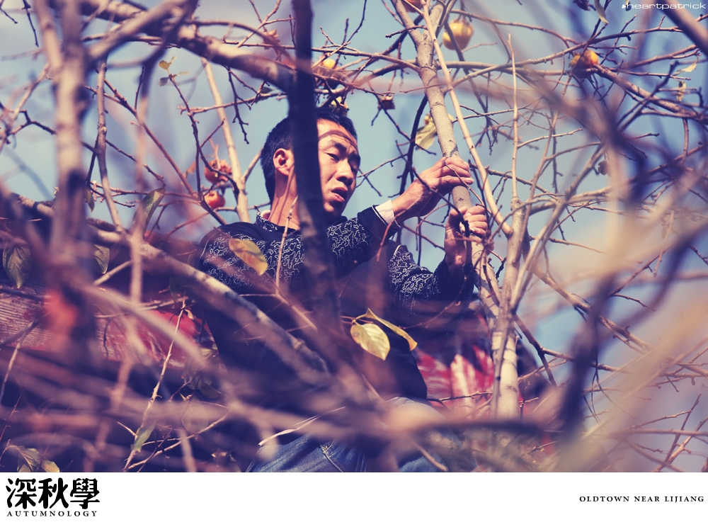 heartpatrick china autumn yunnan sichuan