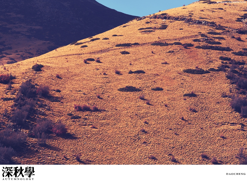 heartpatrick china autumn yunnan sichuan