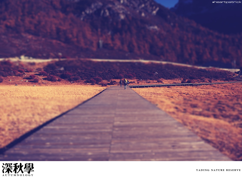 heartpatrick china autumn yunnan sichuan