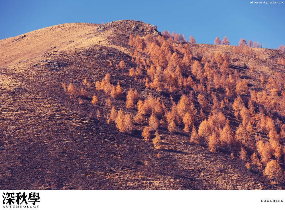 heartpatrick china autumn yunnan sichuan
