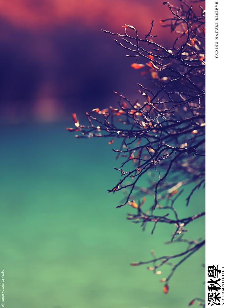 heartpatrick china autumn yunnan sichuan