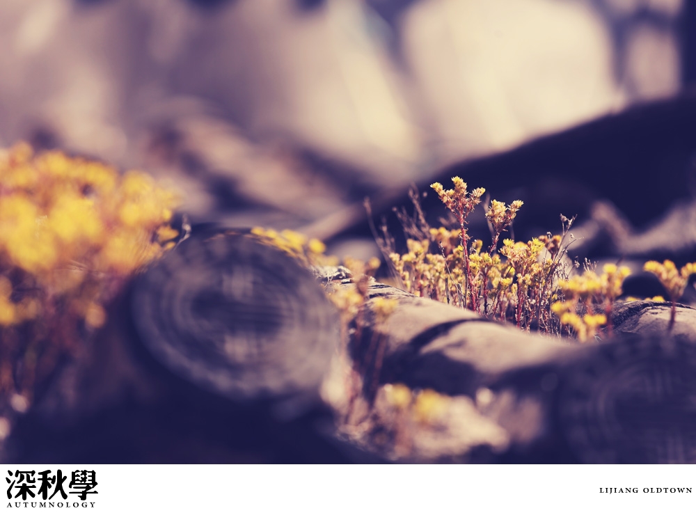 heartpatrick china autumn yunnan sichuan