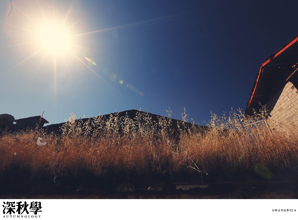 heartpatrick china autumn yunnan sichuan