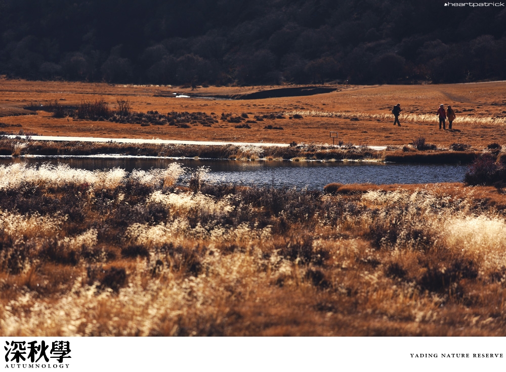heartpatrick china autumn yunnan sichuan