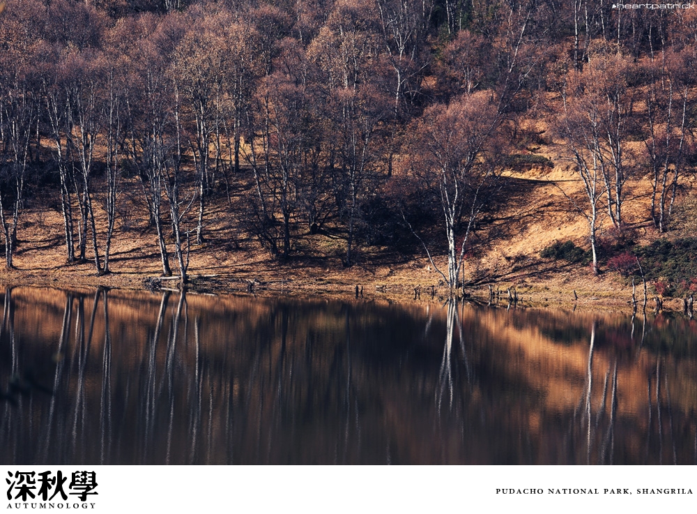 heartpatrick china autumn yunnan sichuan