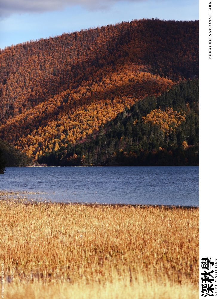 heartpatrick china autumn yunnan sichuan