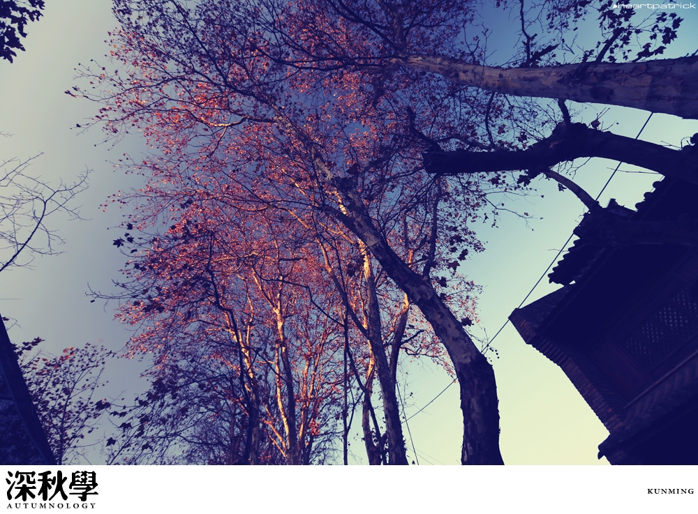 heartpatrick china autumn yunnan sichuan