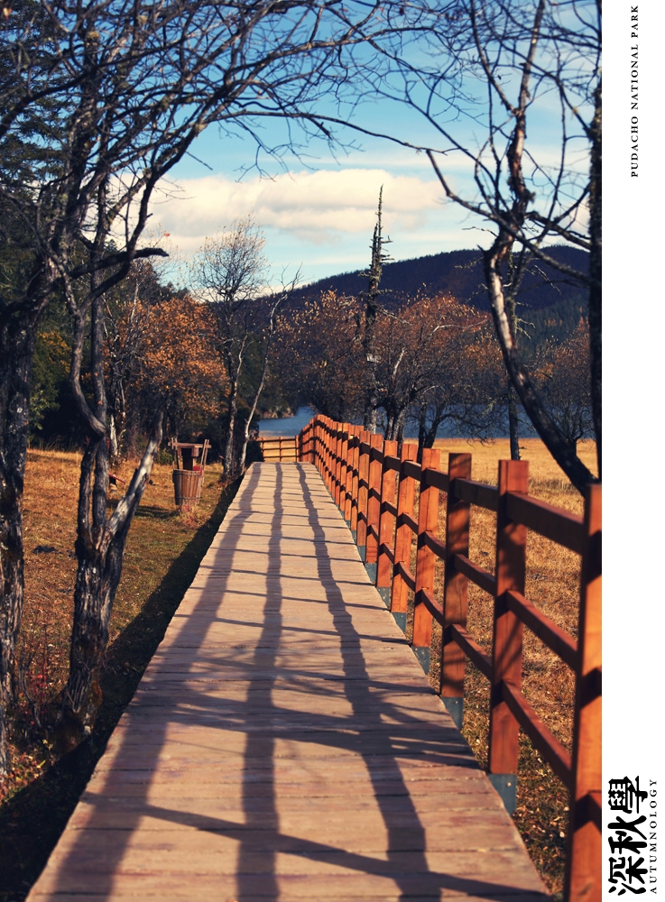 heartpatrick china autumn yunnan sichuan