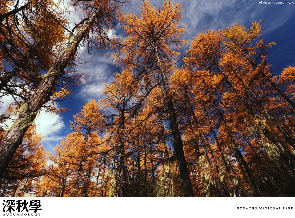 heartpatrick china autumn yunnan sichuan