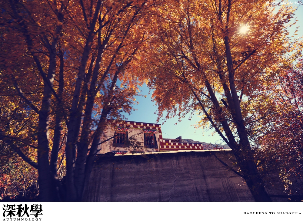 heartpatrick china autumn yunnan sichuan