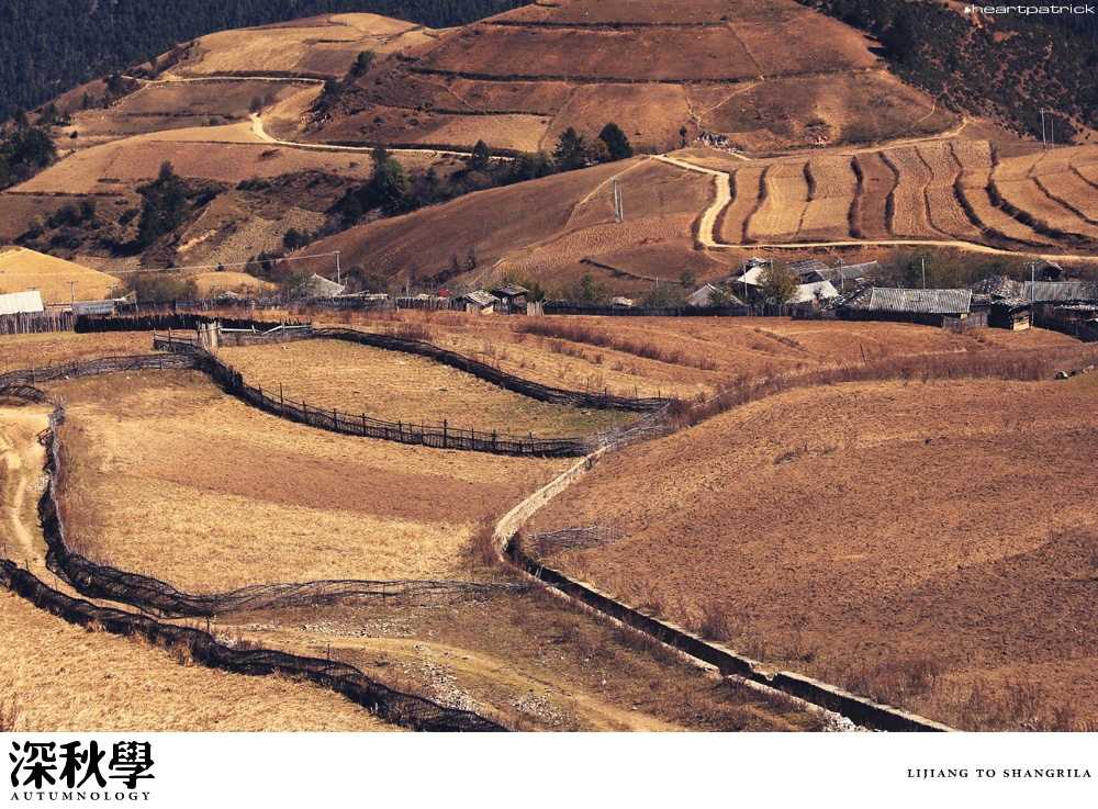 heartpatrick china autumn yunnan sichuan