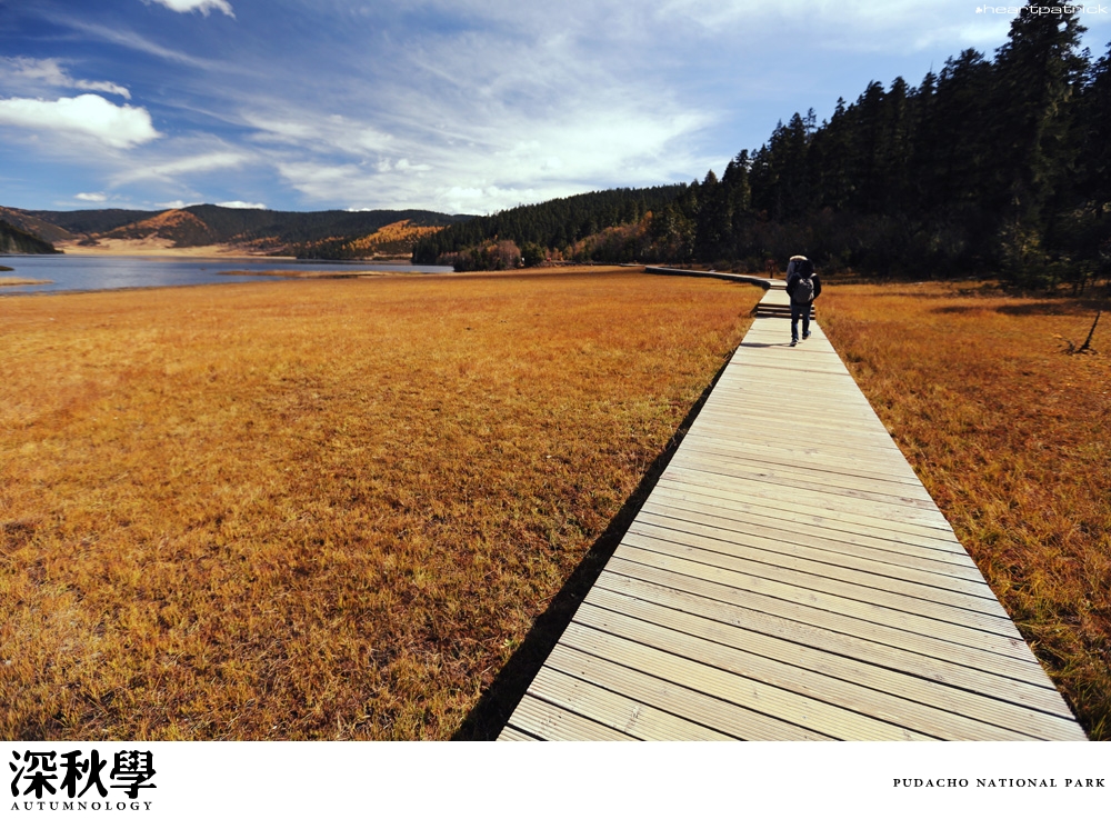 heartpatrick china autumn yunnan sichuan