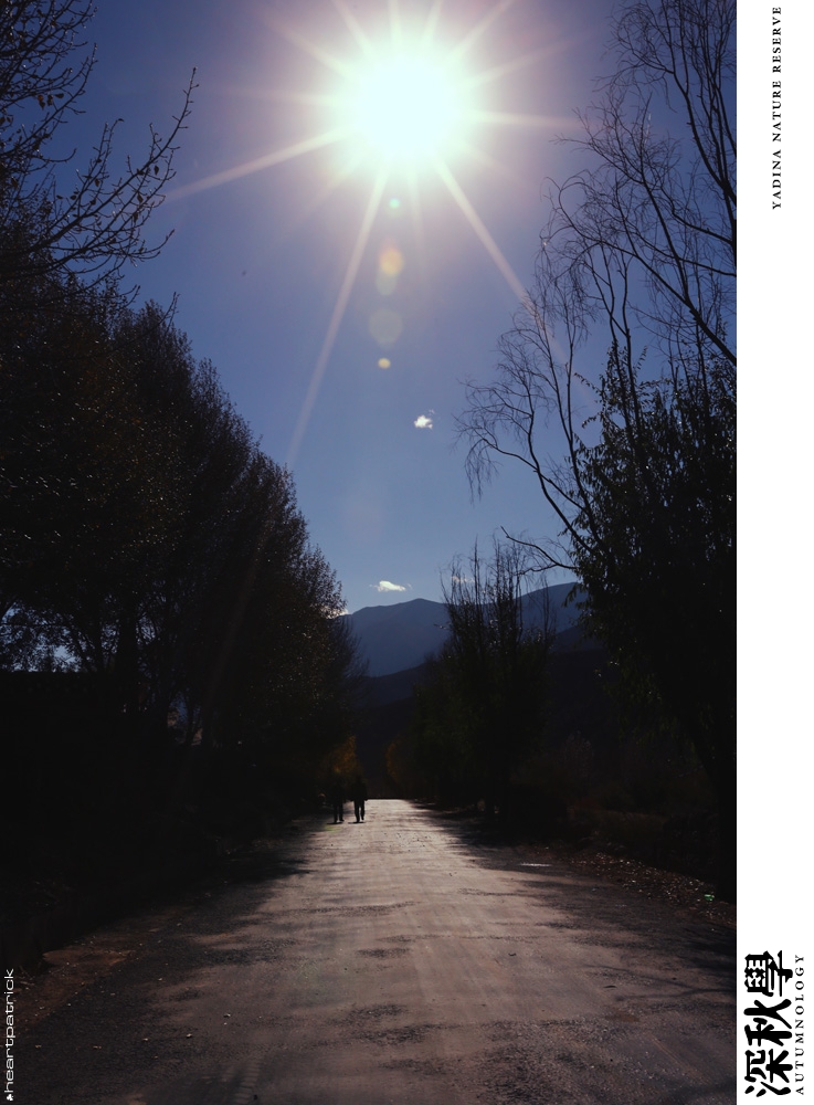 heartpatrick china autumn yunnan sichuan