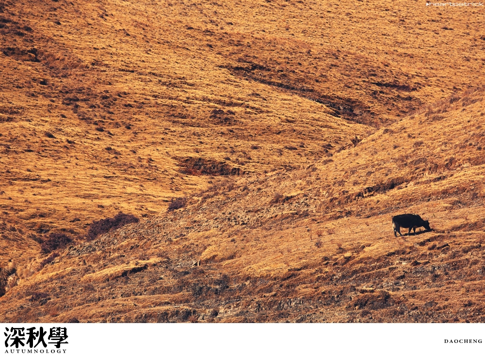 heartpatrick china autumn yunnan sichuan