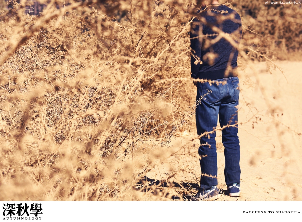 china yunnan sichuan autumn