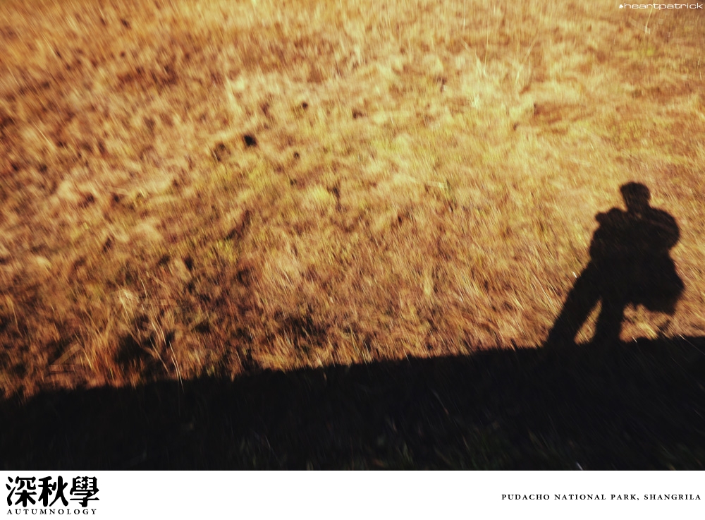 china yunnan sichuan autumn