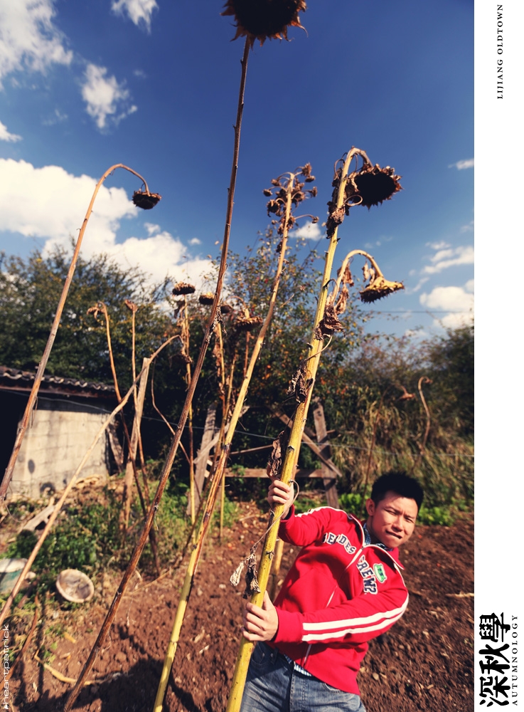 china yunnan sichuan autumn