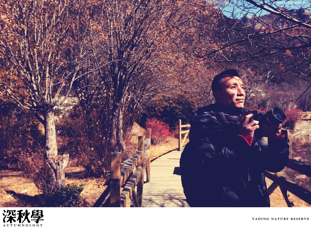 china yunnan sichuan autumn