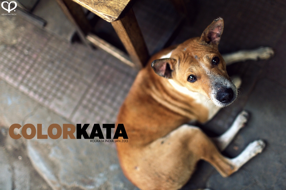 india kolkata photojournalism street photography maniktala