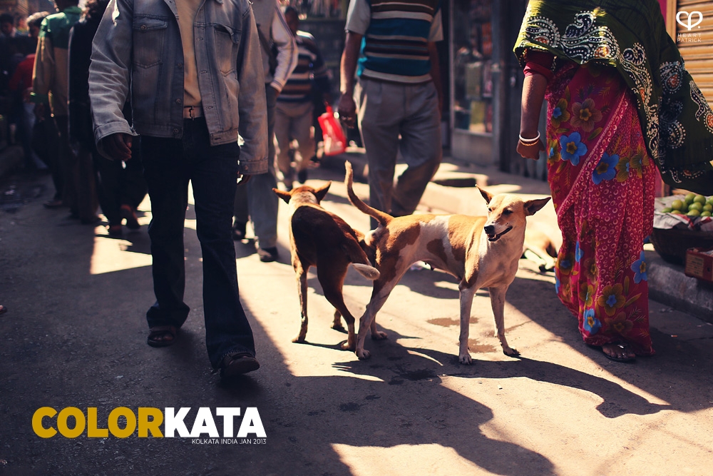 india kolkata photojournalism street photography maniktala