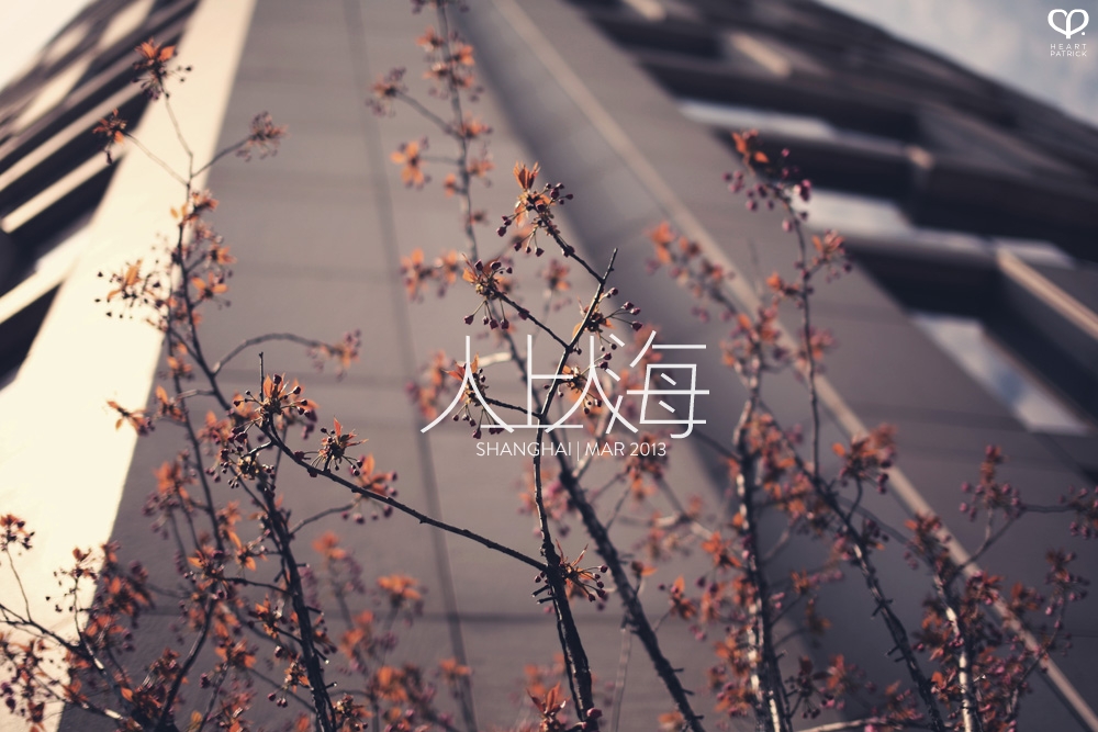 china shanghai photojournalism street photography