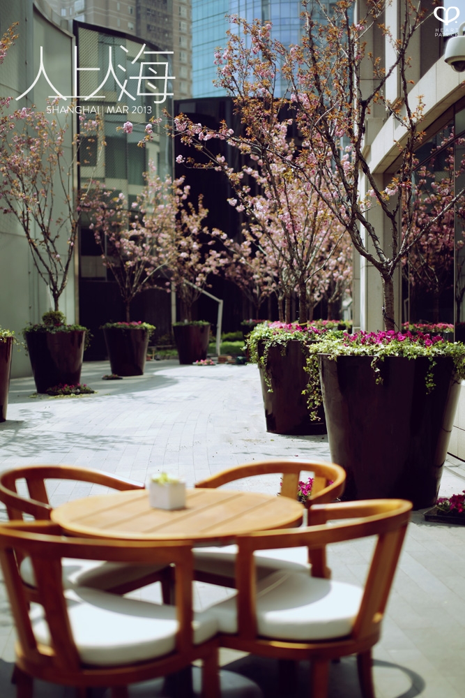 china shanghai photojournalism street photography