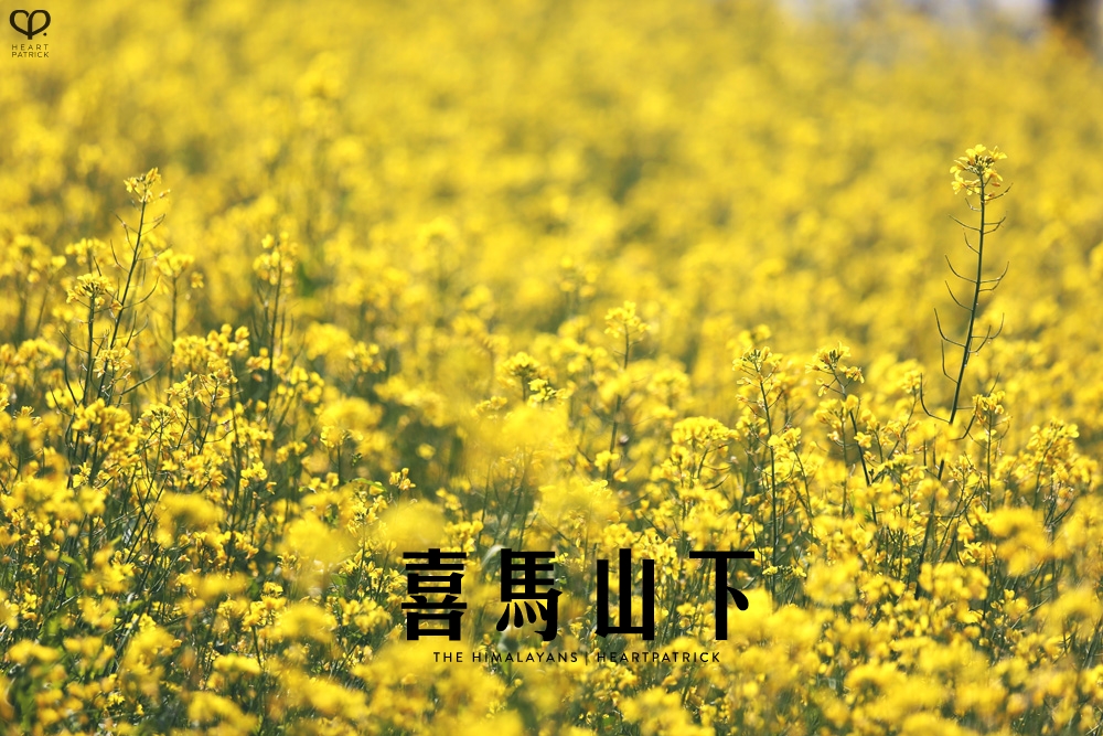 kathmandu nepal before earthquake