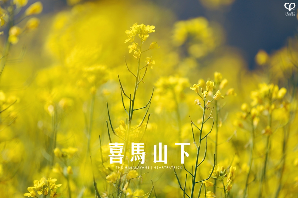 kathmandu nepal before earthquake