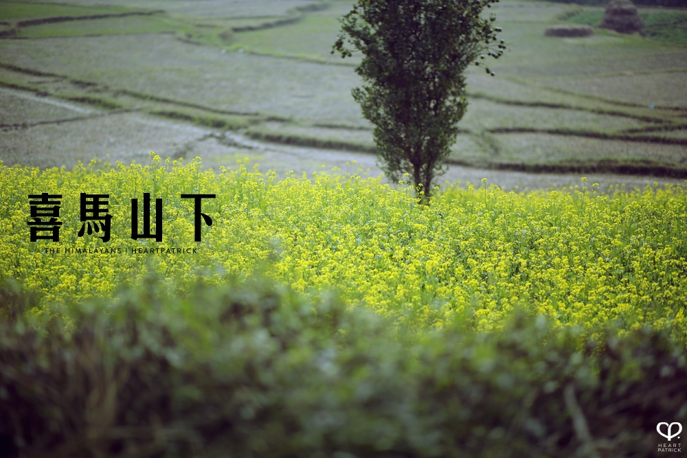 kathmandu nepal before earthquake