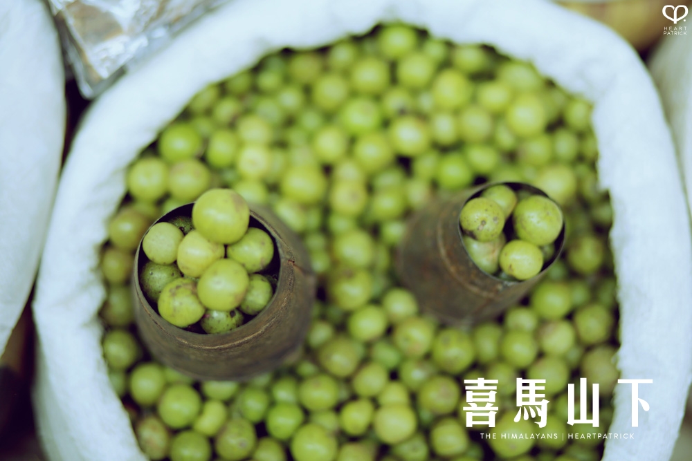 kathmandu nepal before earthquake